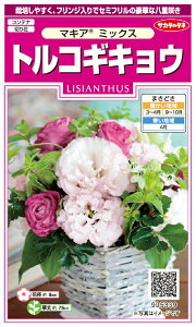 yqzgRMLEi[Xg}j }LA~bNX TJ^̃^l