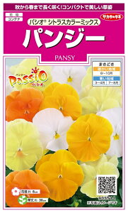 yqzpW[ pVI VgXJ[~bNX TJ^̃^l