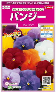 yqzpW[pVI NAJ[~bNX TJ^̃^l