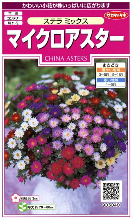 楽天市場 種子 マイクロアスター ステラミックス サカタのタネ Ivy 楽天市場 種子 マイクロアスター ステラミックス サカタのタネ Ivy
