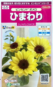 �Ԏ�q �Ђ܂�� �r���Z���g(R) �|���� �T�J�^�̃^�l