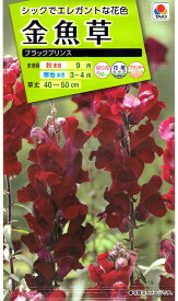 楽天市場 金魚 の 草の通販