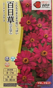 �Ԏ�q �S�����i�W�j�A�j�x���[�Y �f�B�[�v���[�Y �^�L�C��c�̃^�l �_���ȓo�^�i�� (�i�햼�FTZ959)�C�O���o�֎~