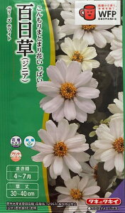 �Ԏ�q �S�����i�W�j�A�j�x���[�Y �z���C�g �^�L�C��c�̃^�l �_���ȓo�^�i�� (�i�햼�FTZ957)�C�O���o�֎~