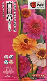 花種子 百日草（ジニア） キャンディーミックス タキイ種苗のタネ
