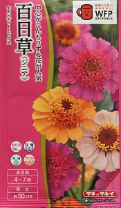 Ԏq SiWjAj LfB[~bNX ^LCc̃^l