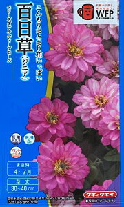 Ԏq SiWjAjx[Y_u fB[v[Y ^LCc̃^l _ȓo^i (i햼FTZ960)COo֎~