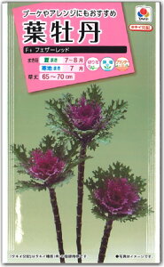 yqztO F1 tFU[bh ^LCc̃^l