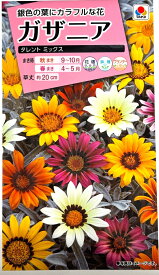 花種子 ガザニア タレントミックス タキイ種苗のタネ