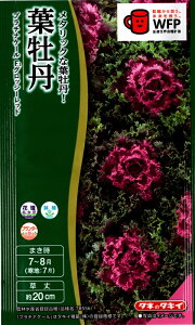 yqztO v`iP[ F1ObV[ bh ^LCc̃^l io^ԍF19852 o^i햼FTB556