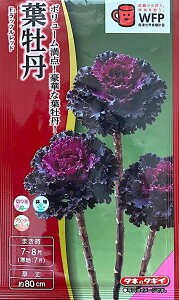 yqztO F1 btbh ^LCc̃^l