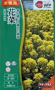 yqziϗp ԍ s ^LCc̃^l