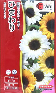 Ԏq Ђ܂ F1 TZbgb` ^LCc̃^l