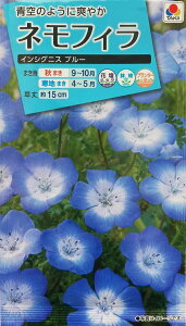 【種子】ネモフィラ インシグニスブルー タキイ種苗のタネ
