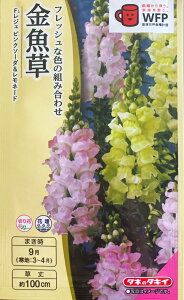 yqziA`qijF1 WF sN\[_l[h ^LCc̃^l