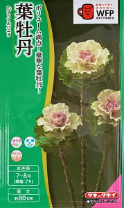 Ԏq tO F1 btoj ^LCc̃^l