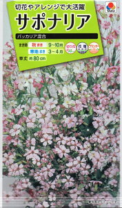 yqzT|iA obJA ^LCc̃^l