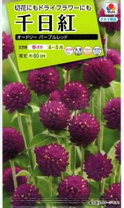 Ԏq g I[h[p[vbh ^LCc̃^l