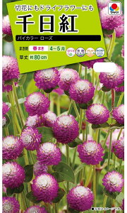 Ԏq g oCJ[ [Y ^LCc̃^l