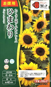 Ԏq ~jЂ܂ F1 X}CbV ppbN ^LCc̃^l