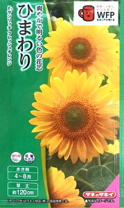 Ԏq Ђ܂ F1 Tb` tbVIW ^LCc̃^l