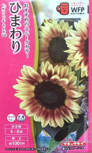 �Ԏ�q �Ђ܂�� F1�T�����b�` ���C�`LD�^�L�C��c�̃^�l