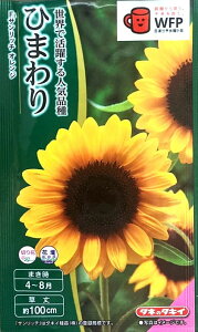 Ԏq Ђ܂ F1Tb` IW ^LCc̃^l