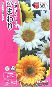 Ԏq Ђ܂ F1TCYtbV ^LCc̃^l