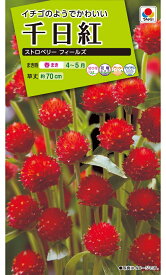 花種子 千日紅 ストロベリーフィールズ タキイ種苗のタネ