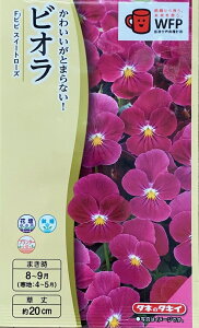 yqzrI F1rr XC[g[Y ^LCc̃^l