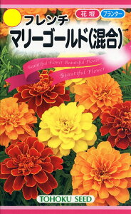 �Ԏ�q �t�����` �}���[�S�[���h(����) �g�[�z�N�̃^�l