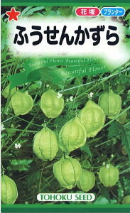 �Ԏ�q �ӂ����񂩂��� �g�[�z�N�̃^�l