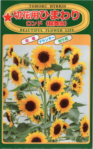 Ԏq ؉ԗpЂ܂ h(֕) g[zÑ^l