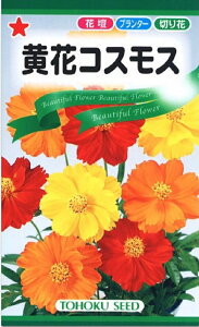 Ԏq ԃRXX uCgCg~bNXg[zÑ^l