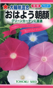 Ԏq ֍獬 ͂悤 g[zÑ^l