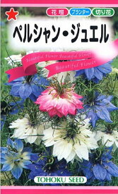 楽天市場 ニゲラ 種の通販