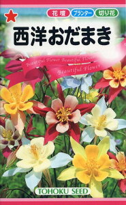 �Ԏ�q ���m�����܂��i�A�L���M�A�j�i�햼�F�}�b�J�i�W���C�A���g �g�[�z�N�̃^�l