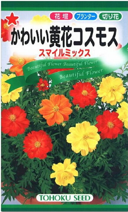 楽天市場 種子 かわいい黄花コスモススマイルミックストーホクのタネ Ivy