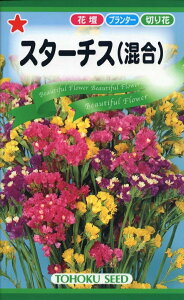 yqzX^[`Xij[j g[zÑ^l