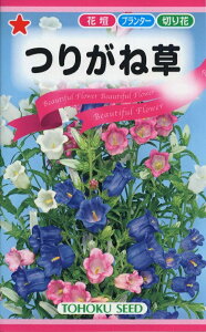 yqz肪ˑ iJpj W[jg[zÑ^l