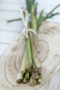 n[uq Muller Collection Lemon Grass (Cymbopogon flexuosus) seeds OXiL{|S tNXIXXj̃^l