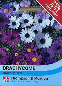 yqzThompson & Morgan Brachycome iberidifolia 'Bravo' uLJ CxfBtHA 'u{[' gv\[K