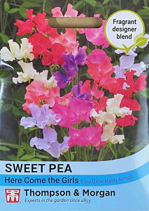 yqzThompson & Morgan Sweet Pea 'Here Come the Girls' XC[gs[ 'qAEJEUEK[Y' gv\[K