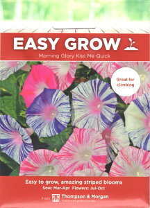 yqzThompson & Morgan Morning Glory () 'Kiss Me Quick' [jOO[[ 'LX~[ENCbN' gv\[K