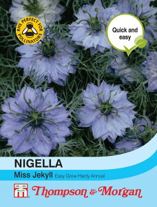 Ԏq Thompson & Morgan Nigella damascena 'Miss jekyll' jQ _}XPi '~X W[L' gv\[K