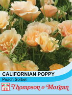 花種子 Thompson & Morgan California Poppy 'Peach Sorbet' カリフォルニアポピー ピーチ ソルベ トンプ…