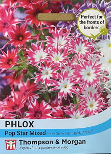 Ԏq Thompson & Morgan Phlox 'Popstars' tbNX '|bvX^[Y' gv\[K