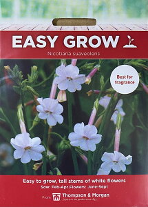yqzThompson & Morgan Nicotiana suaveolens jR`Ai XAxIX gv\[K