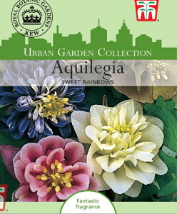 Ԏq Thompson & Morgan Aquilegia vulgaris 'Sweet Rainbows' ALMA XEB[gC{[ gv\[K