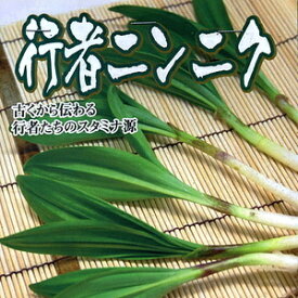 【野菜球根】行者ニンニク 3株入 カネコ種苗の球根